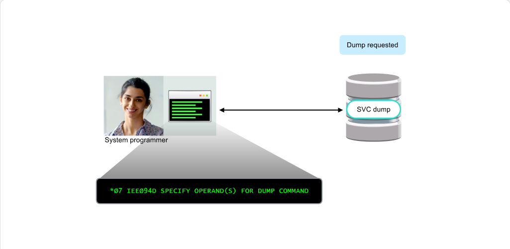 Preparing for Dumps SVC Dump Parameters: Preparing for Dumps - SVC Dump Parameters screenshot